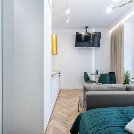 Golden Circles No.2 公寓 波兹南